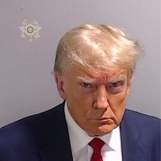 Donald Trump photographed against a neutral background, facing forward with a serious expression.